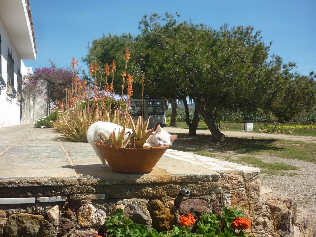 Cortijo La Molina De Cabo De Gata Pension Buitenkant foto