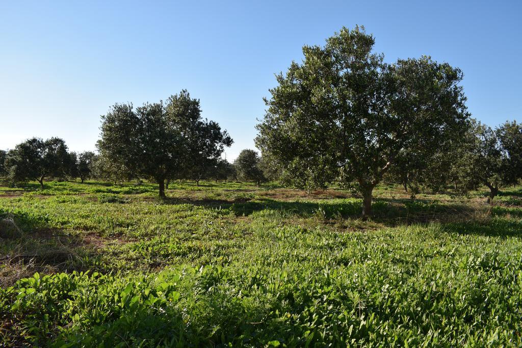Cortijo La Molina De Cabo De Gata Pension Buitenkant foto